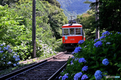 登山鉄道の古参車両