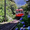登山鉄道の古参車両
