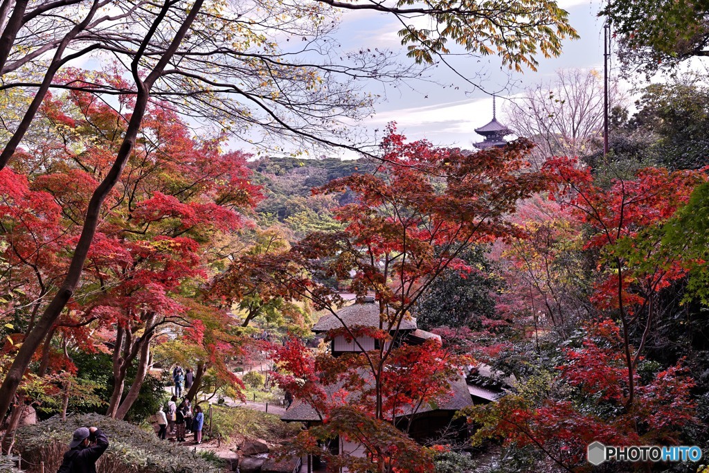 紅葉渓谷遊歩道