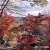 紅葉渓谷遊歩道