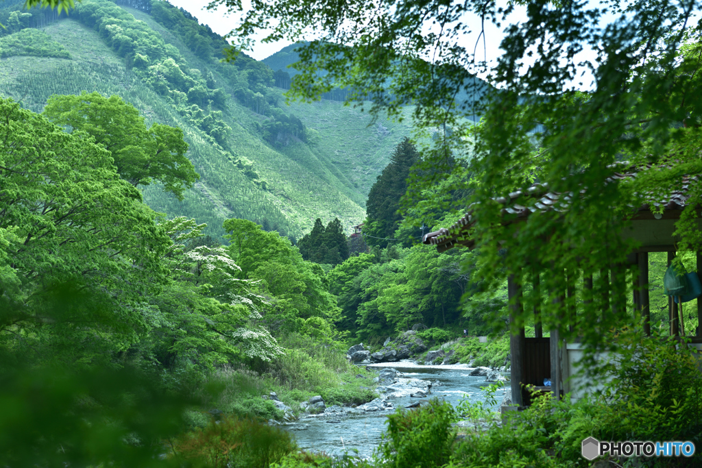 新緑の御岳渓谷