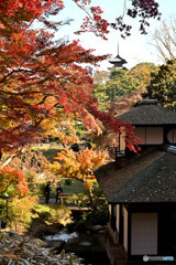 ”　横浜三渓園　”　