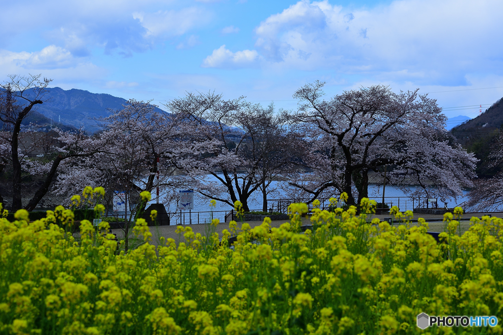 花の苑地