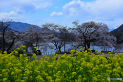 花の苑地