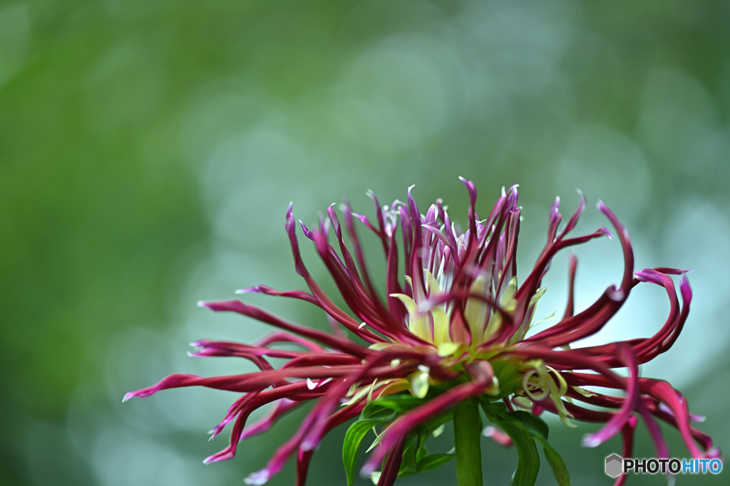 夏の暑さにも負けず