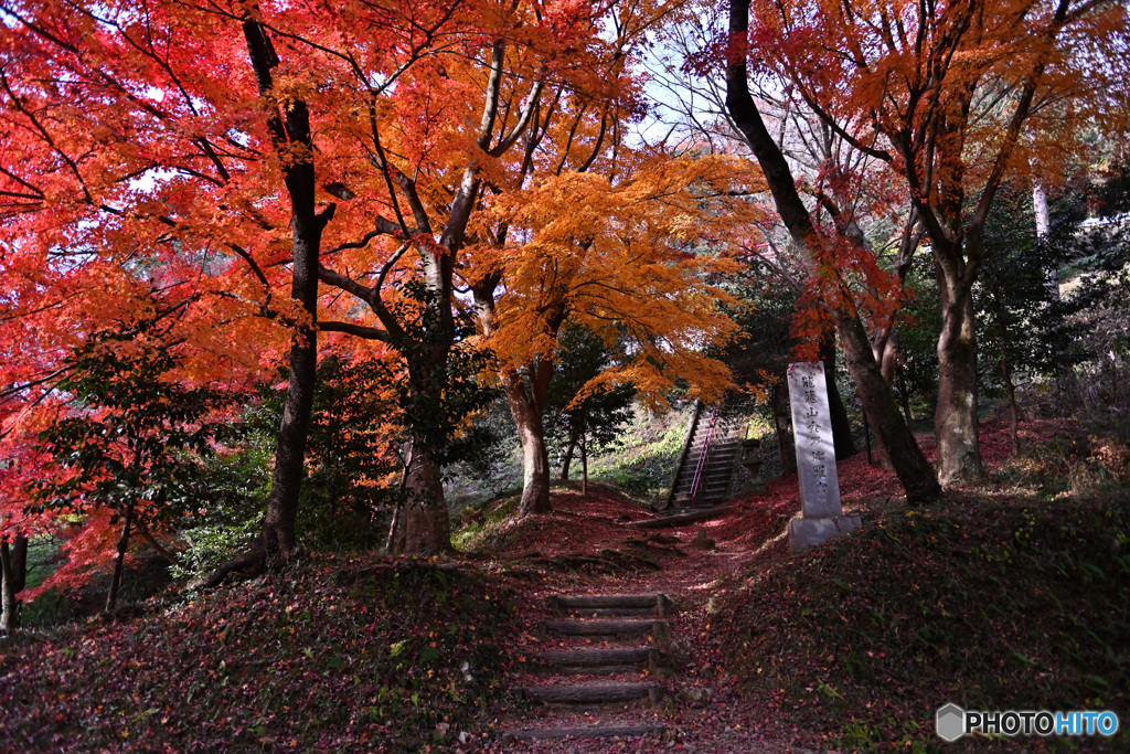 晩秋の散策路