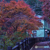 紅葉に映える郵便局。。