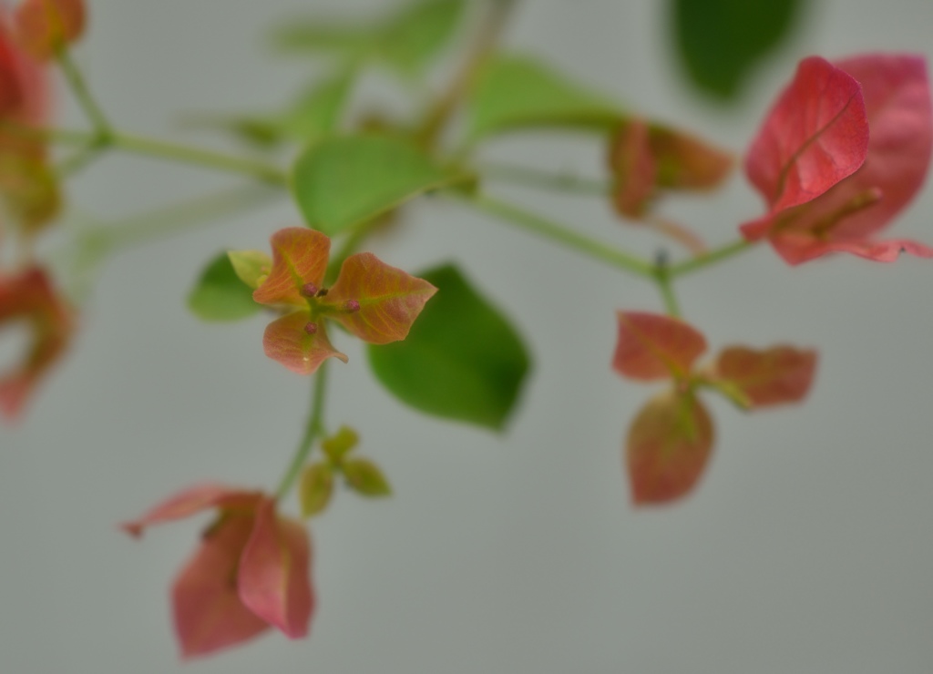 ～のびのび～～