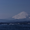 湘南から見る富士も