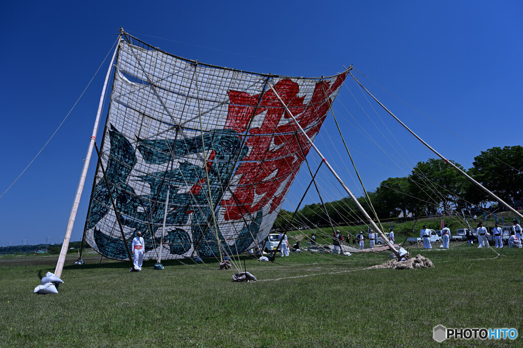 相模の大凧　”　勝風　”