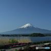 快晴の青に紅