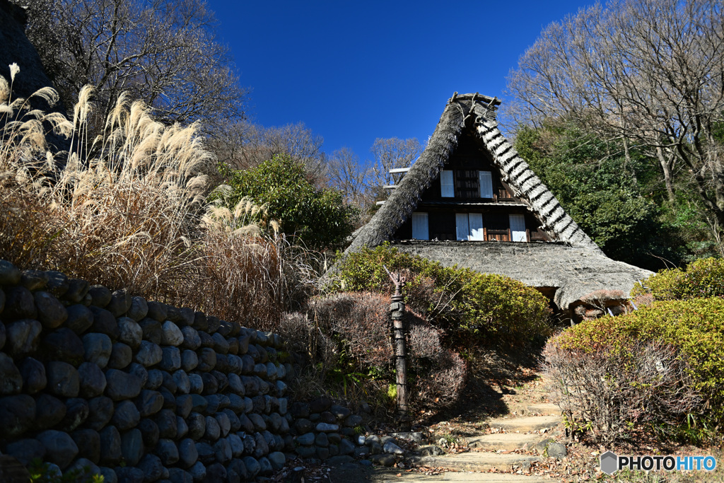 どんと構える五箇山の合掌造り