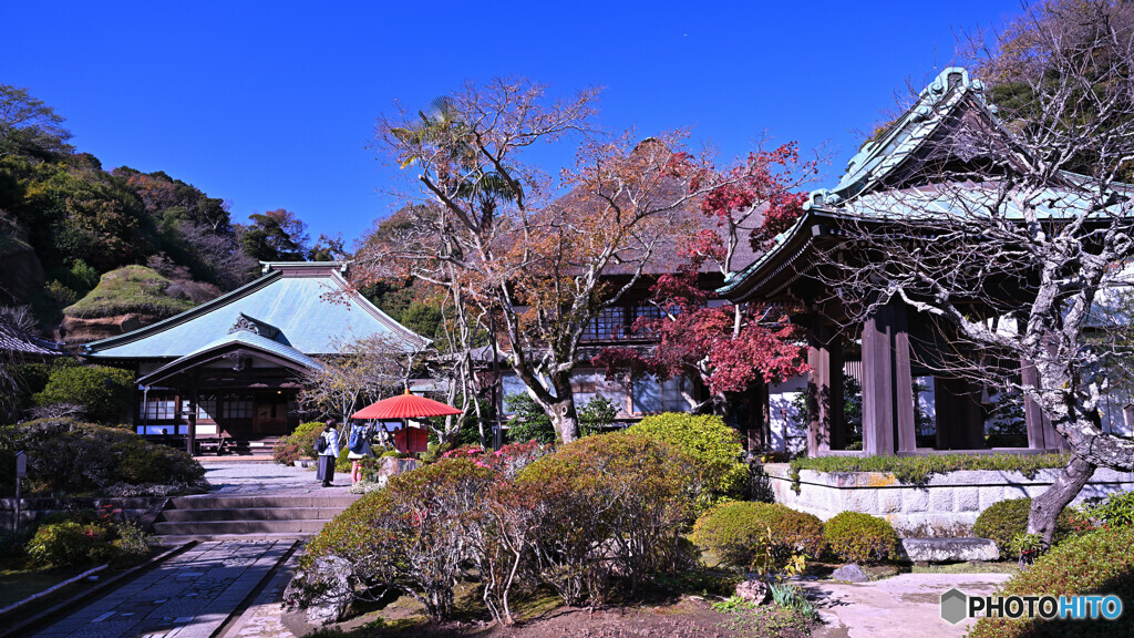 紅葉した海蔵寺