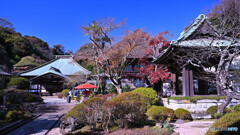 紅葉した海蔵寺