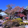 紅葉した海蔵寺