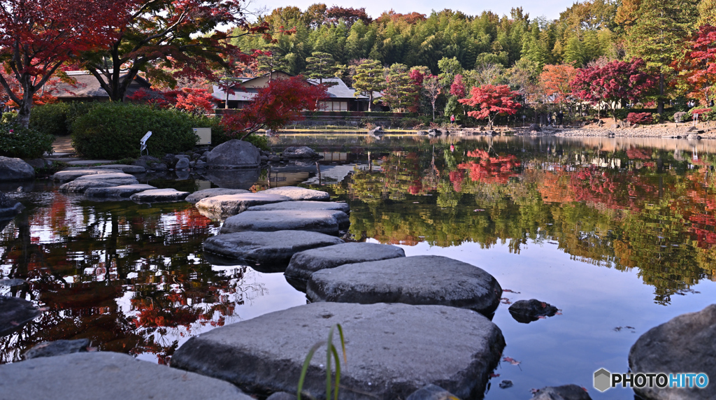 庭園の紅葉Ⅲ
