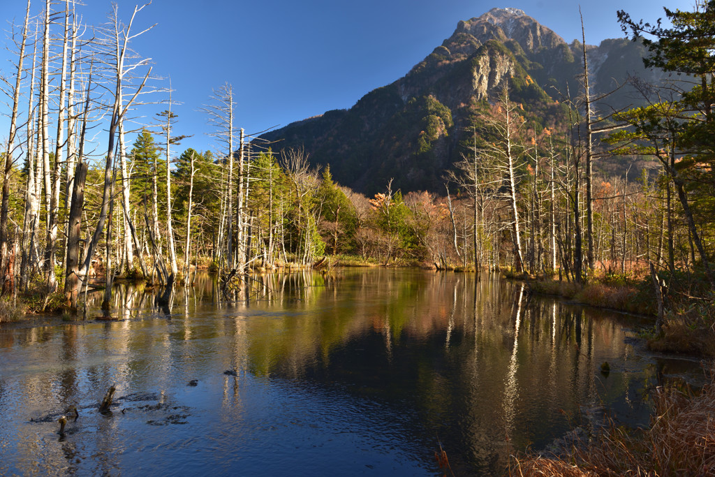 ～川は流れて　何処どこ～～♪