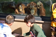 描きたいなあ～