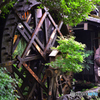 一休庵　”深大寺そば”