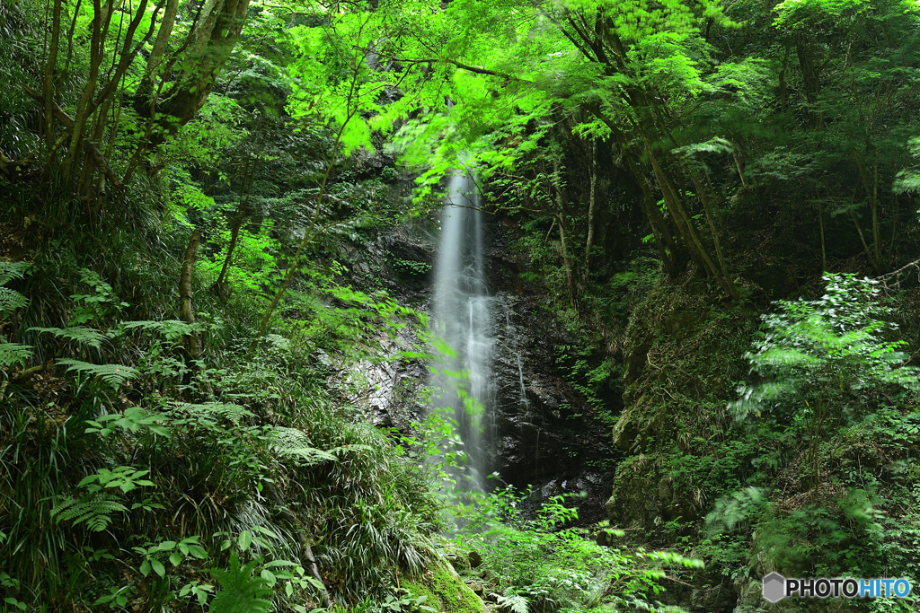 滝飛沫に潤う