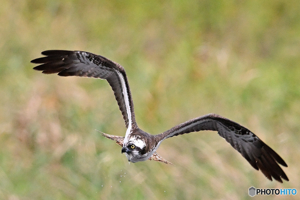 河川敷も秋の気配