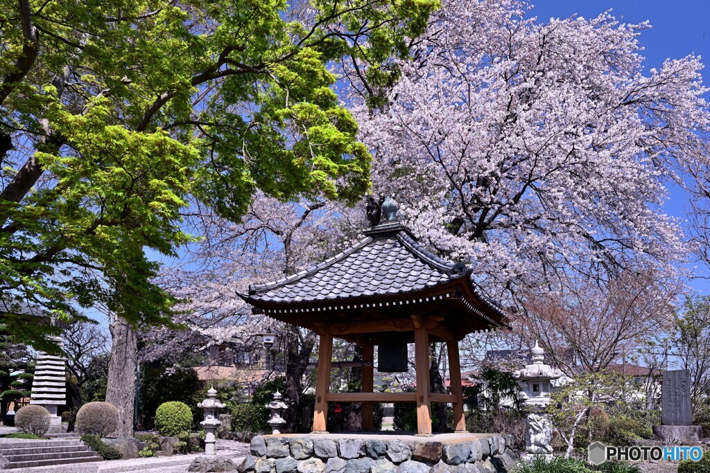 華やかに寺院を飾るⅡ