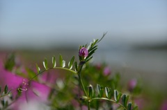 ～のびのびと～