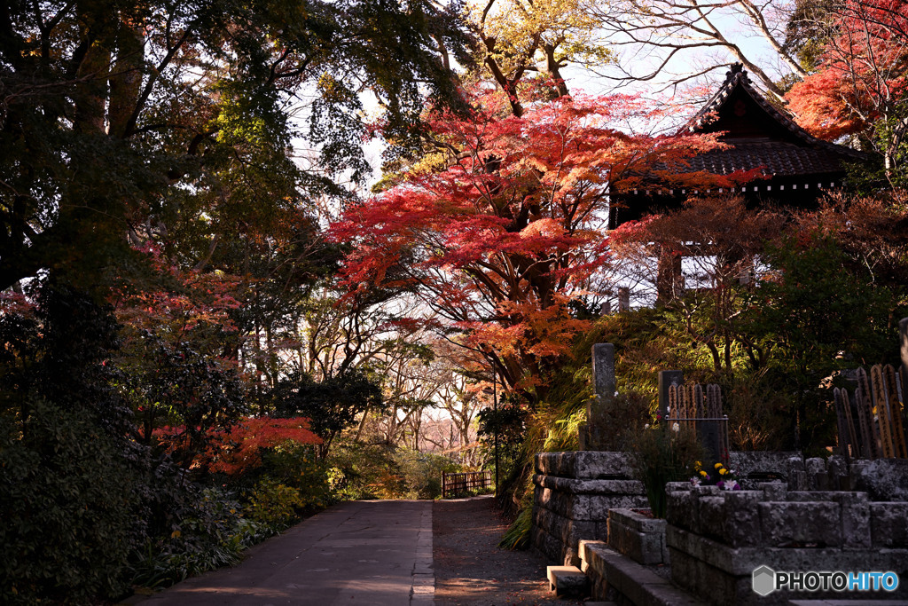 鐘楼と紅葉