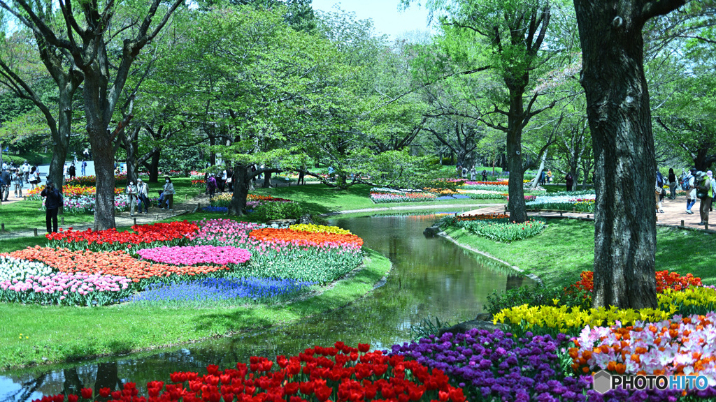 せせらぎの撮影ポイント