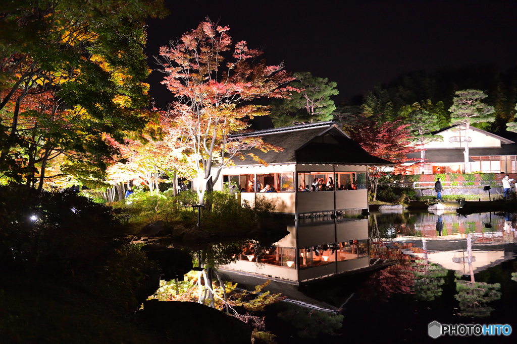秋の夜の散歩