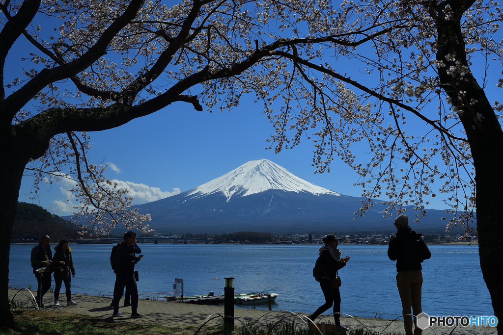 今頃はきっと（河口湖北岸）