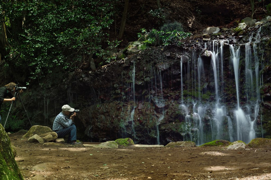  千条のカメラマン!?