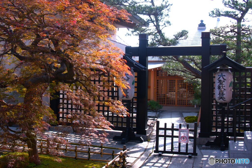 歩いた京都旅