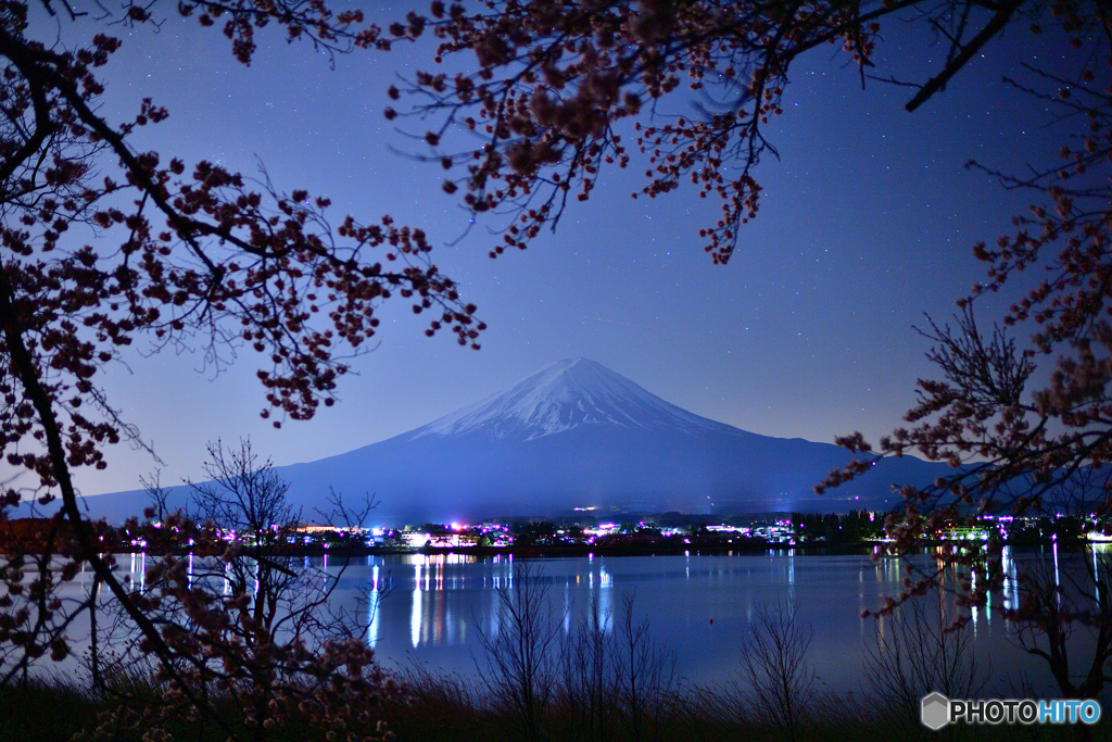 桜で飾る