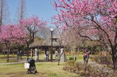 ~春うらら！！～～