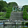 真夏の公園で賑わう噴水広場