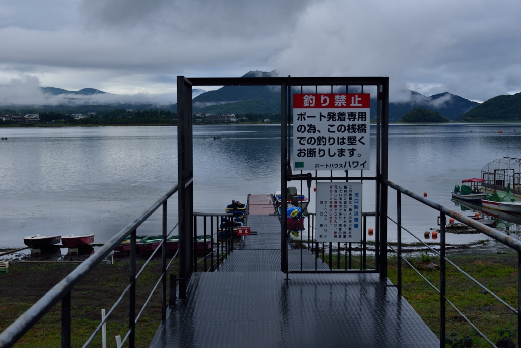 雨でも富士が！