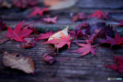 紅に彩ろどられた食卓