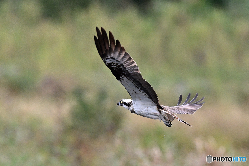 河川敷も秋の気配Ⅱ