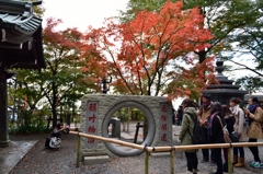 ”願いが叶う輪”(参考）