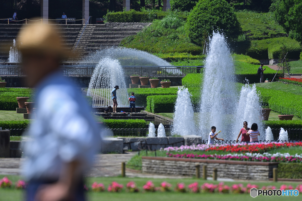 夏日の公園