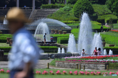 夏日の公園