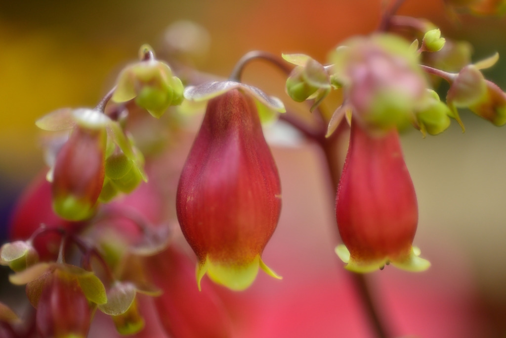 さぁ～3月で~~す！
