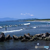 初夏の湘南海岸