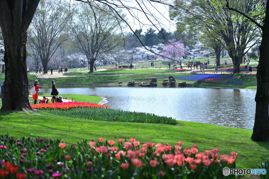 この情景に赤がいい