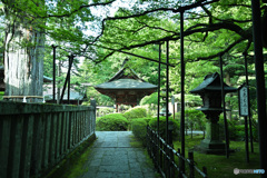 風情ある神社境内