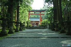 崇高な富士浅間神社の参拝路