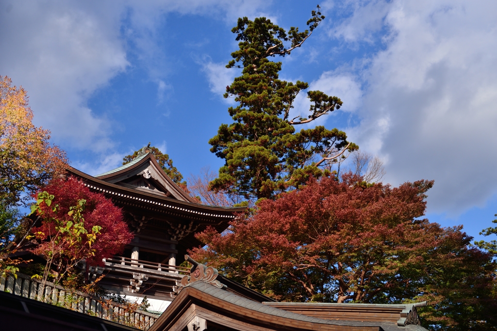 ”薬王院御本社の紅葉”（参考）