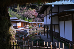 ひっそり魅せる海蔵寺