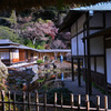 ひっそり魅せる海蔵寺